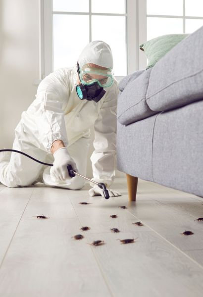 Keep Your Home Pest-Free with Pest Control Services in Kolkata