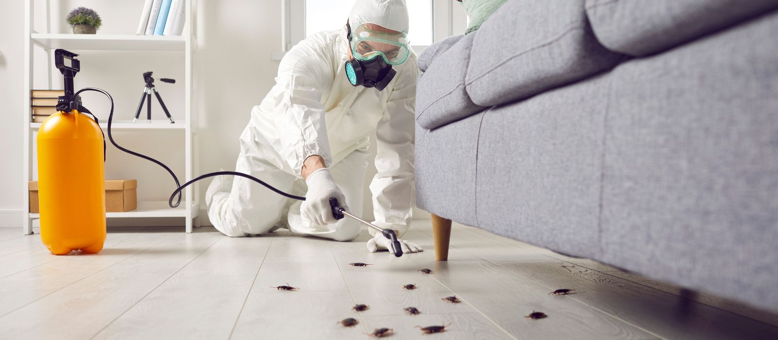 home pest control services kolkata